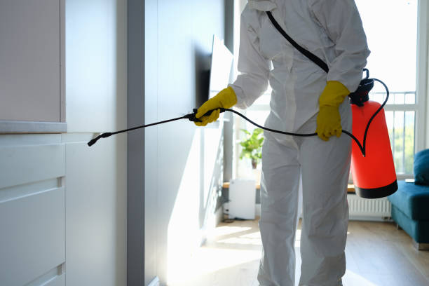 Best Mold Odor Removal Services  in Highgrove, CA